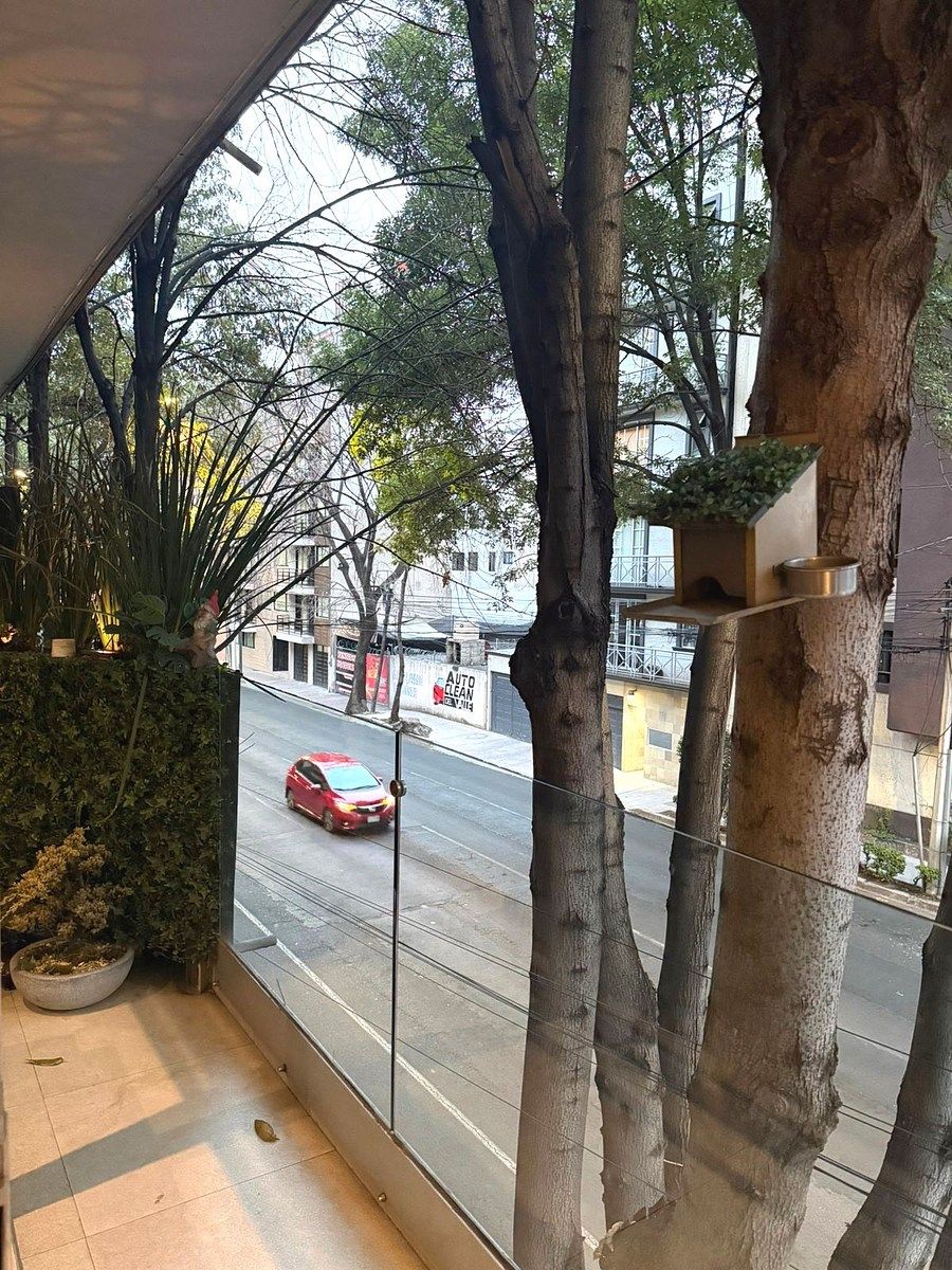 Apartment in Del Valle Centro, Benito Juárez, photo 8 of 28