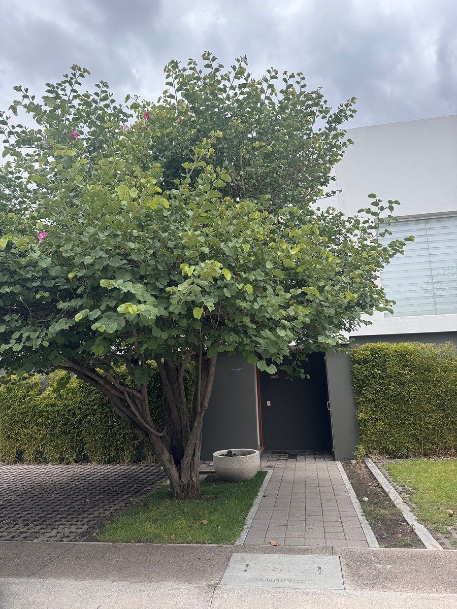Casa en condominio en Juriquilla Santa Fe, Querétaro, foto 2 de 30