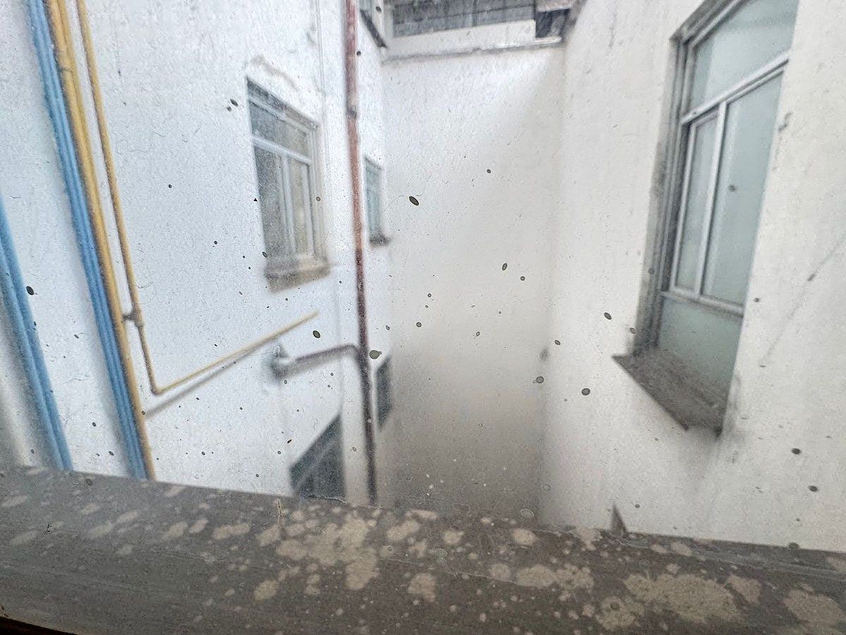 Casa en El Parque, Naucalpan de Juárez, foto 10 de 22