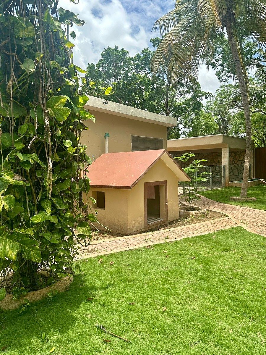 House in Dzityá, Mérida, photo 15 of 33