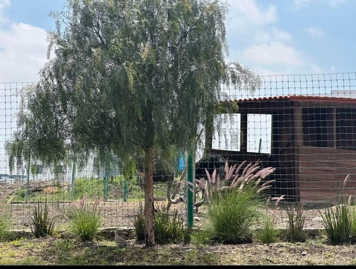 TERRENO HABITACIONAL EN VENTA EN BIO GRAND JURIQUILLA, QUERETARO, foto 1 de 10