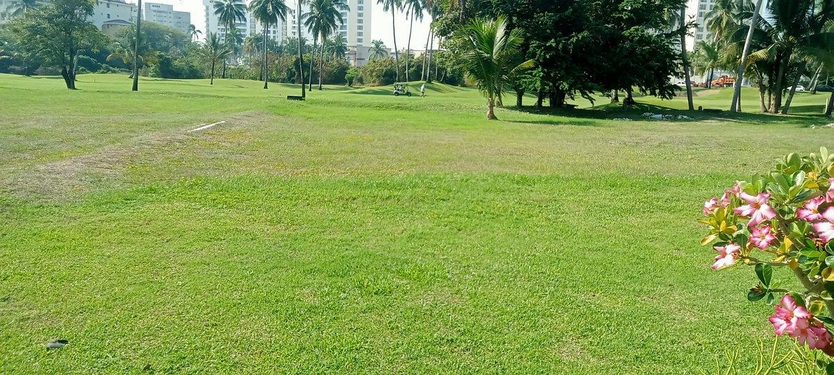 Lote em Playa Diamante, Acapulco de Juárez, foto 7 de 8
