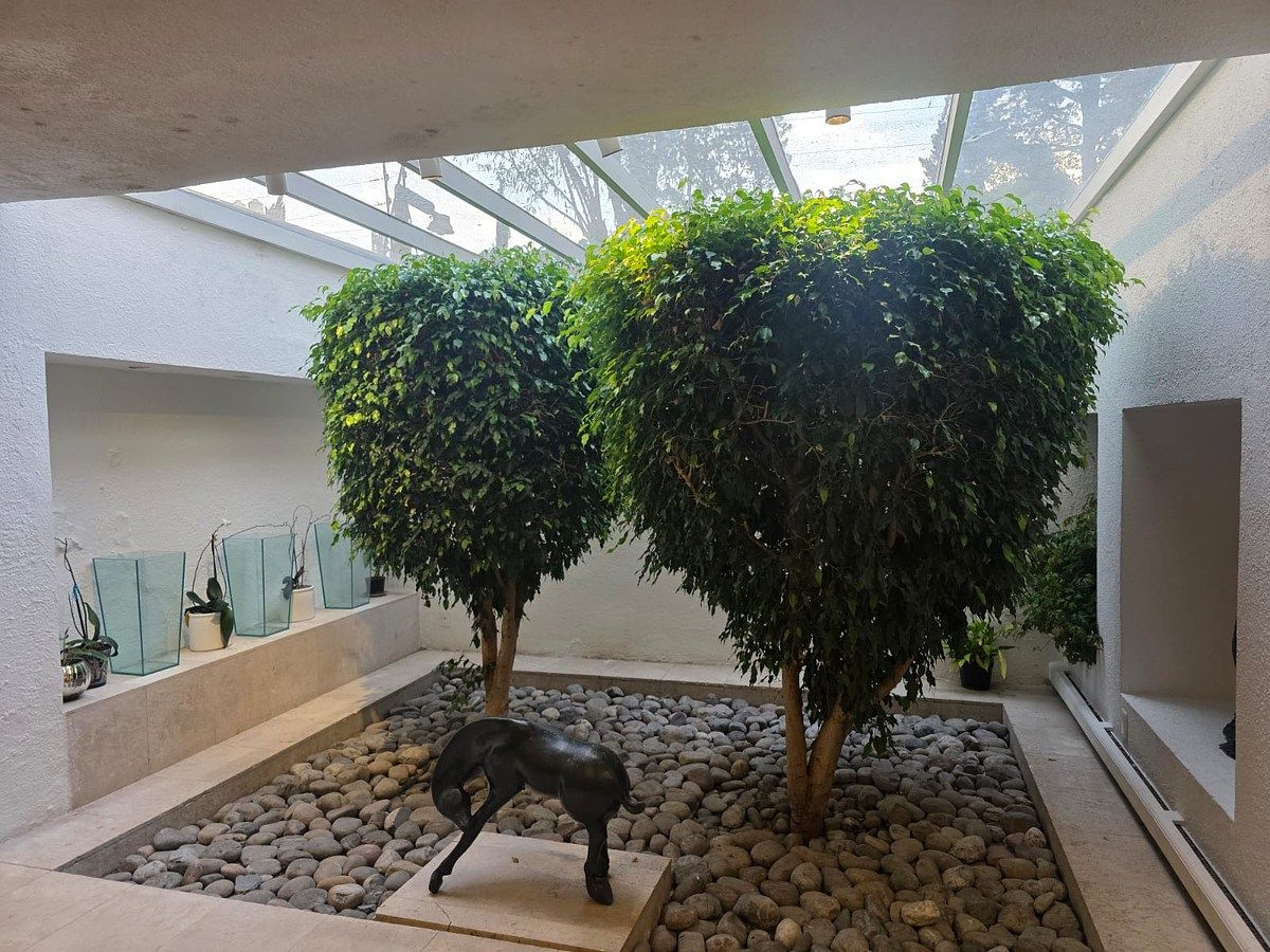 Apartamento em Lomas de Chapultepec VIII Sección, Miguel Hidalgo, foto 5 de 41