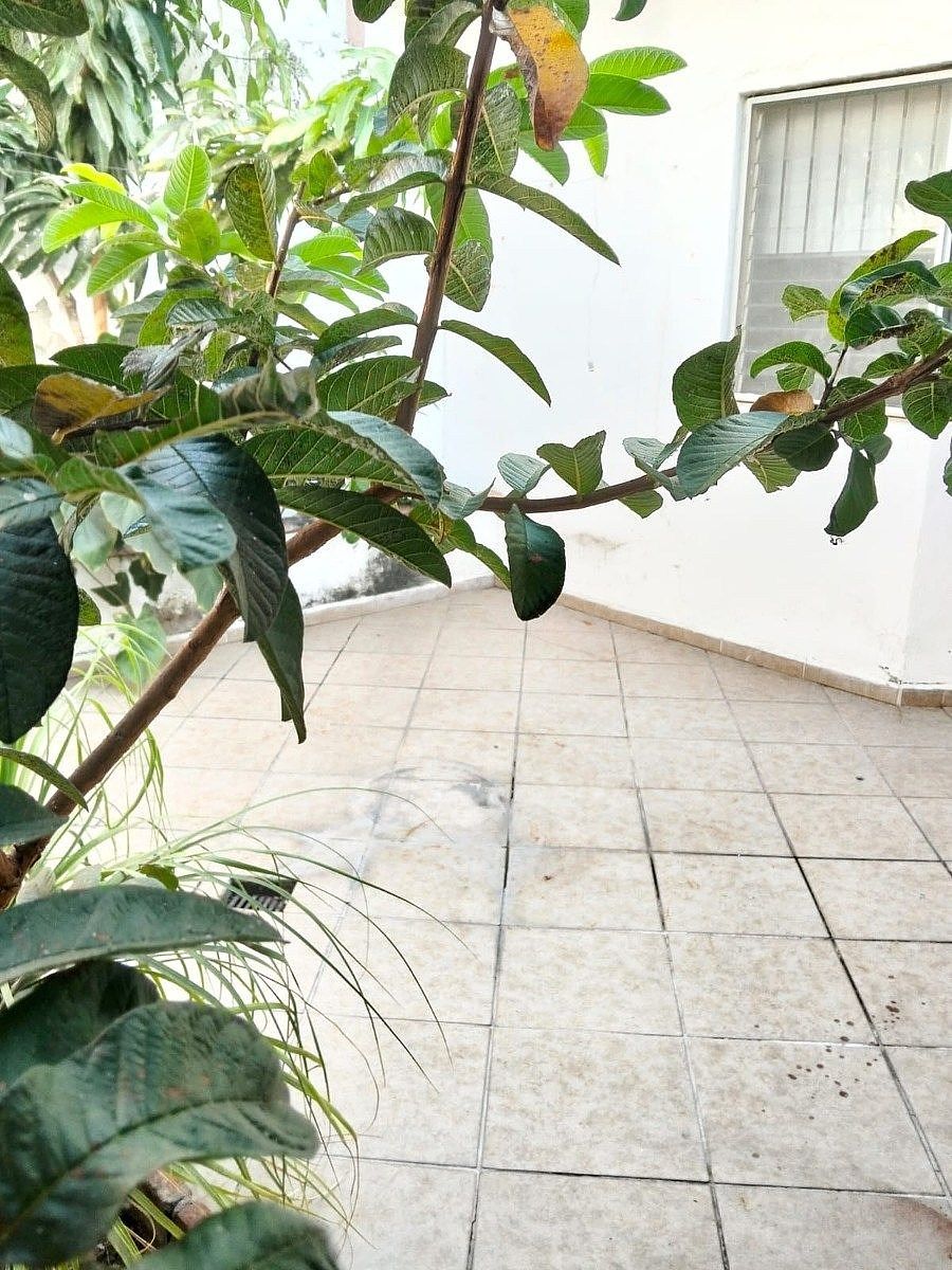 Casa em Jardines Vista Hermosa, Colima, foto 11 de 14