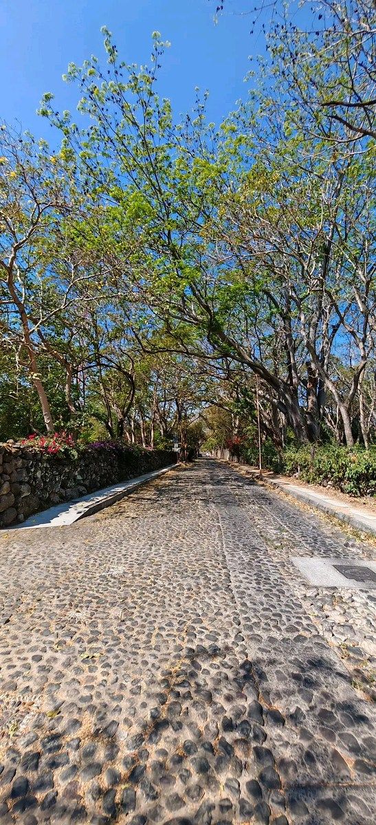 Lands in Comala, Nogueras Alley - foto 1