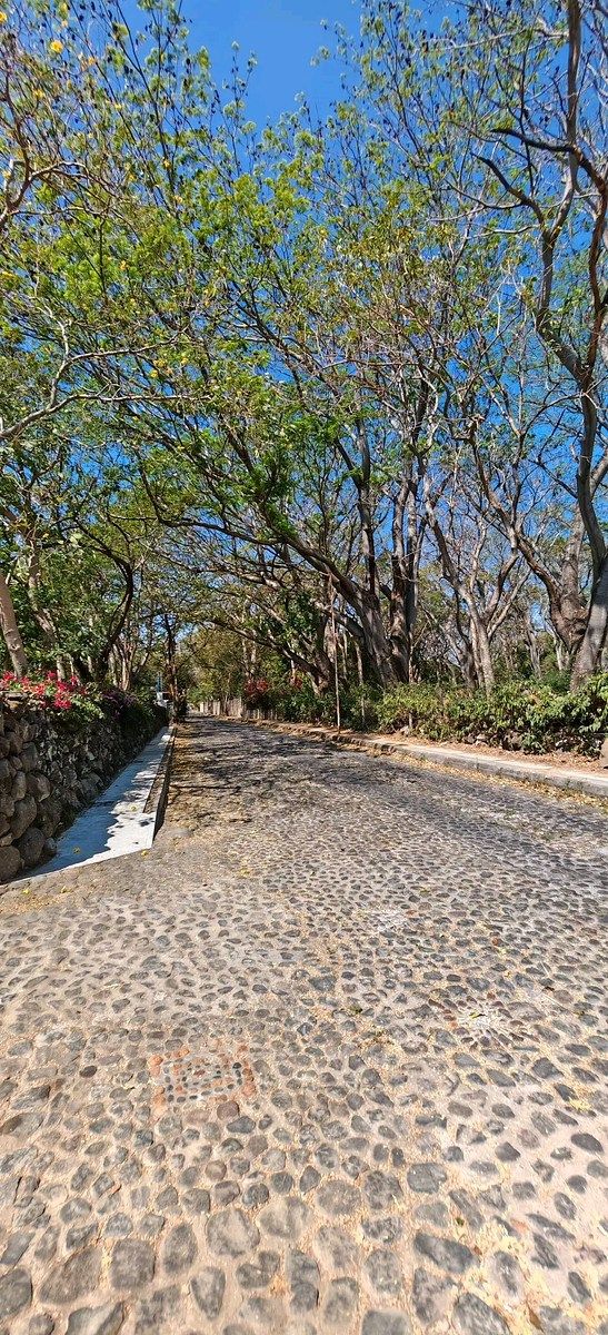 Lands in Comala, Nogueras Alley - foto 2