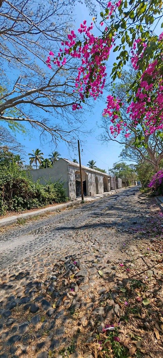 Lands in Comala, Nogueras Alley - foto 3