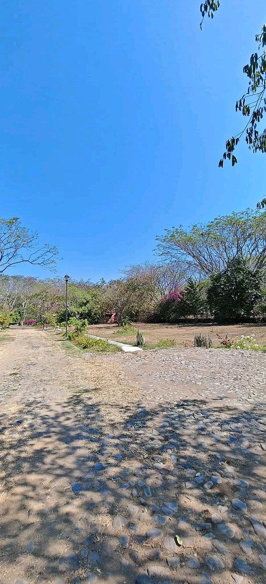 Lands in Comala, Nogueras Alley - foto 5