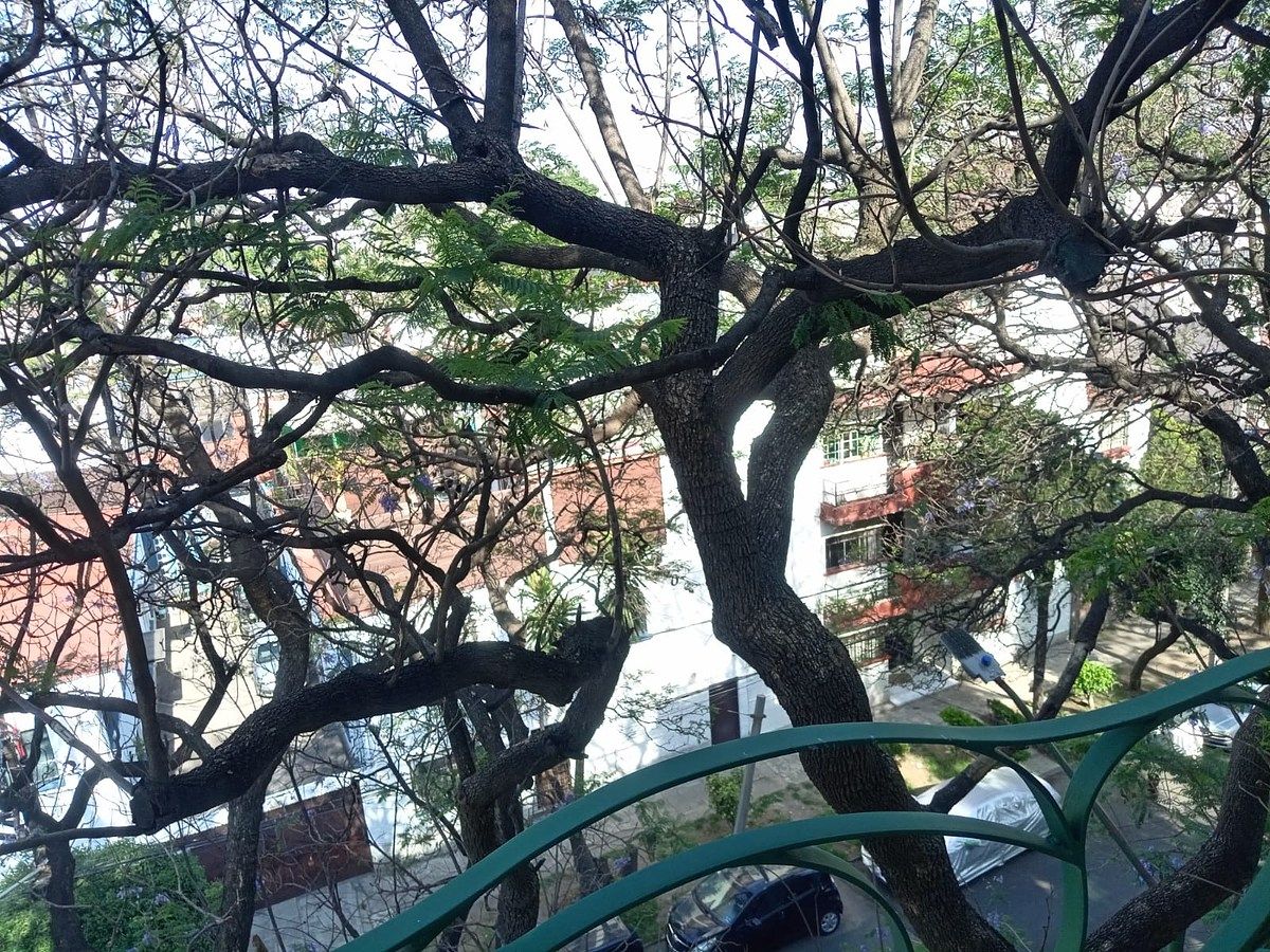 Apartamento em Narvarte Poniente, Benito Juárez, foto 21 de 35