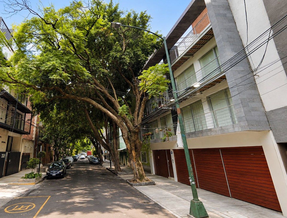 Apartment in Narvarte Oriente, Benito Juárez, photo 17 of 17