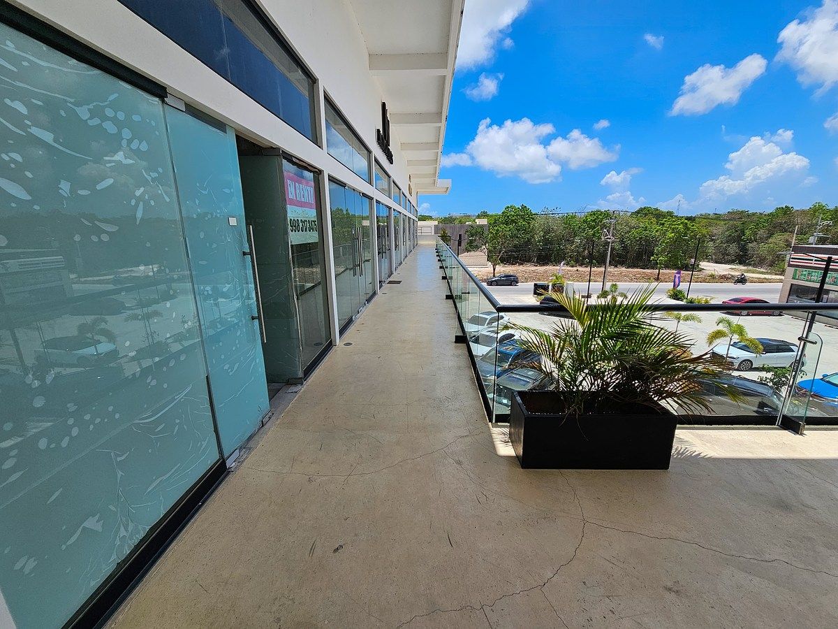 Planta Alta, photo 9 of 15
