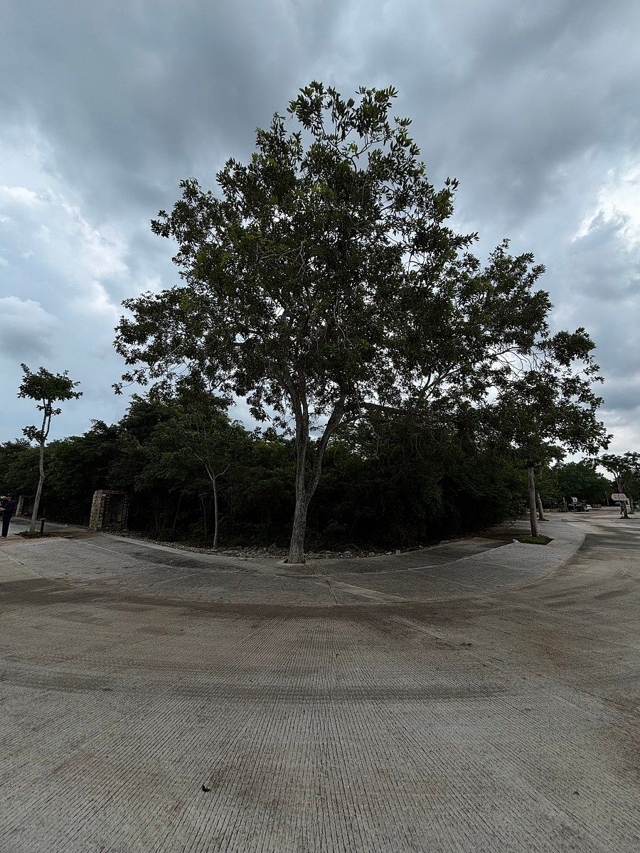 Terreno en Yucatán Country Club, Mérida, foto 2 de 11