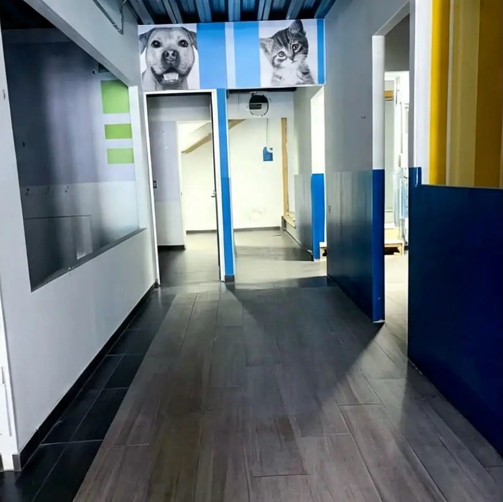 Retail Space in Lomas de Chapultepec I Sección, Miguel Hidalgo, photo 11 of 12