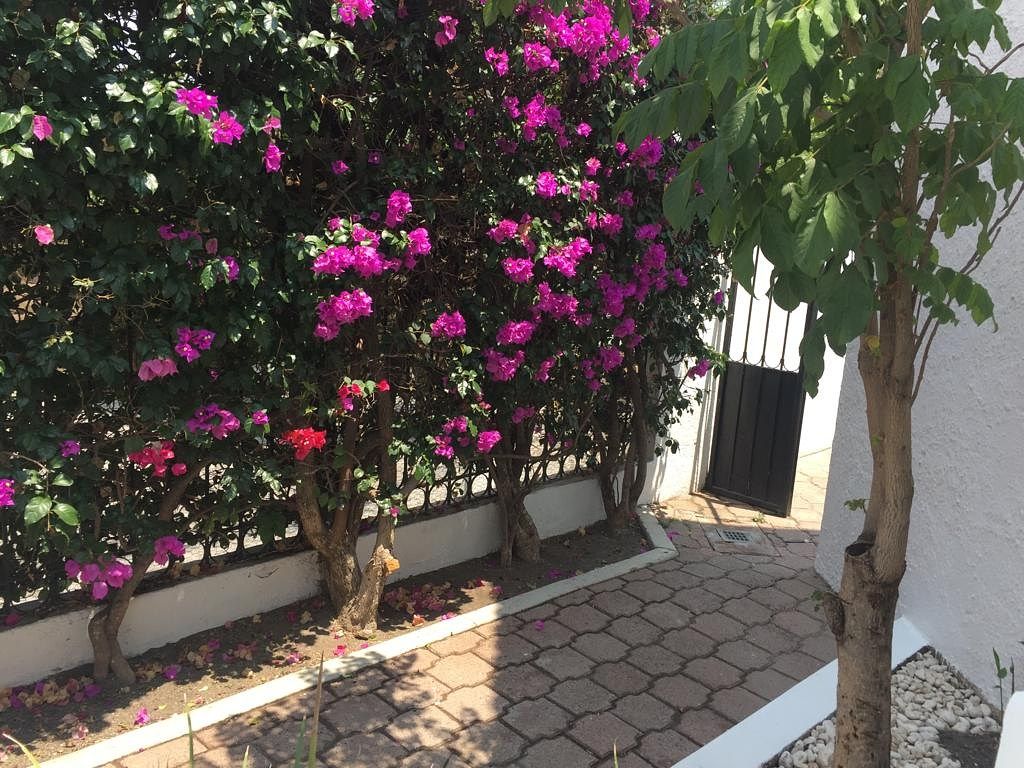 Casa en condominio en Colinas del Parque, Querétaro, foto 5 de 25