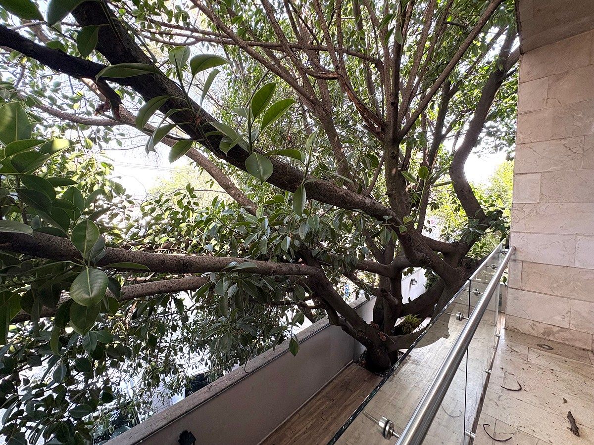 Casa en Condominio en Lomas de Tecamachalco Rayo Vende ®, foto 17 de 25
