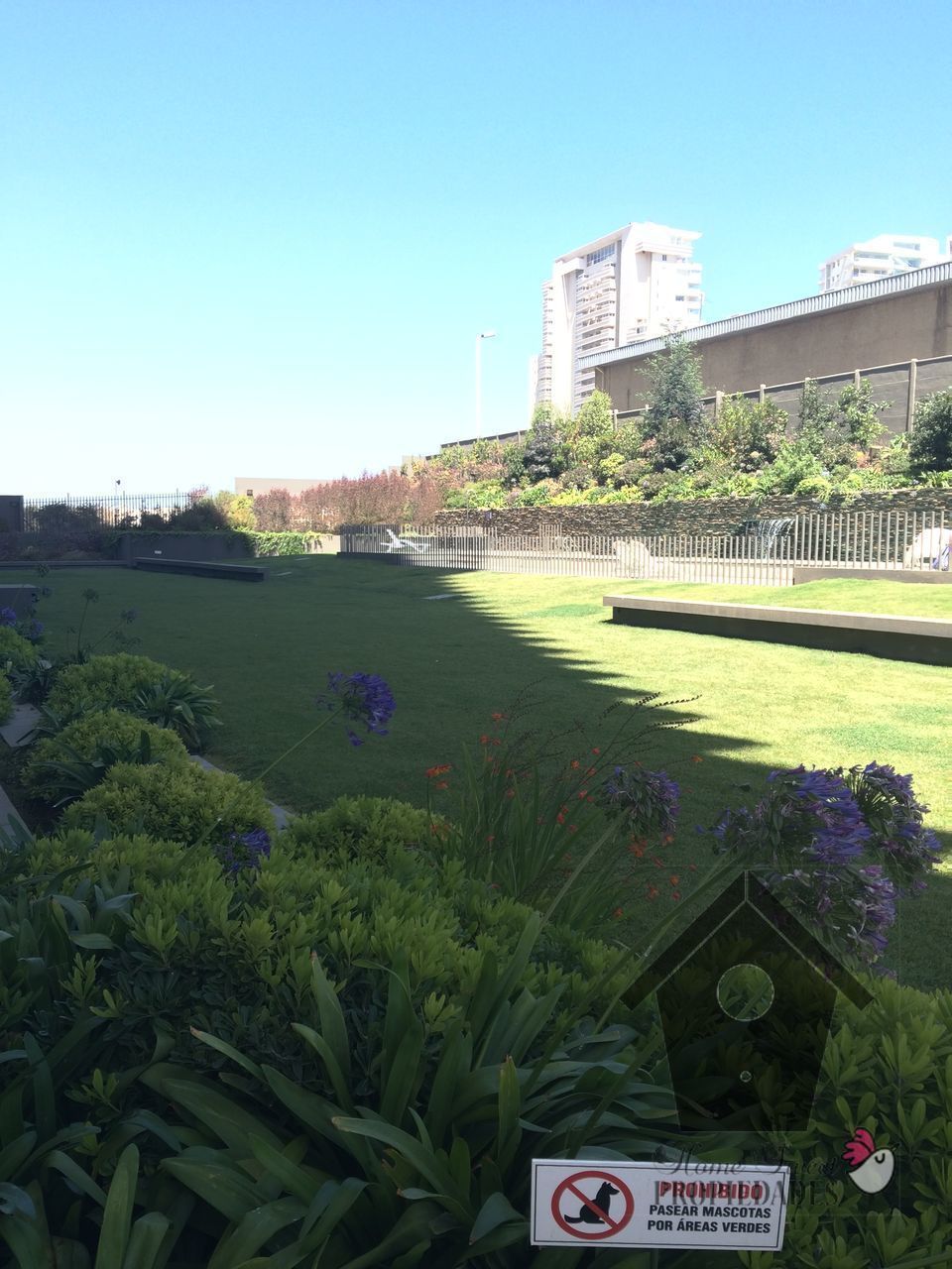 Departamento en Reñaca, Viña del Mar, foto 20 de 24