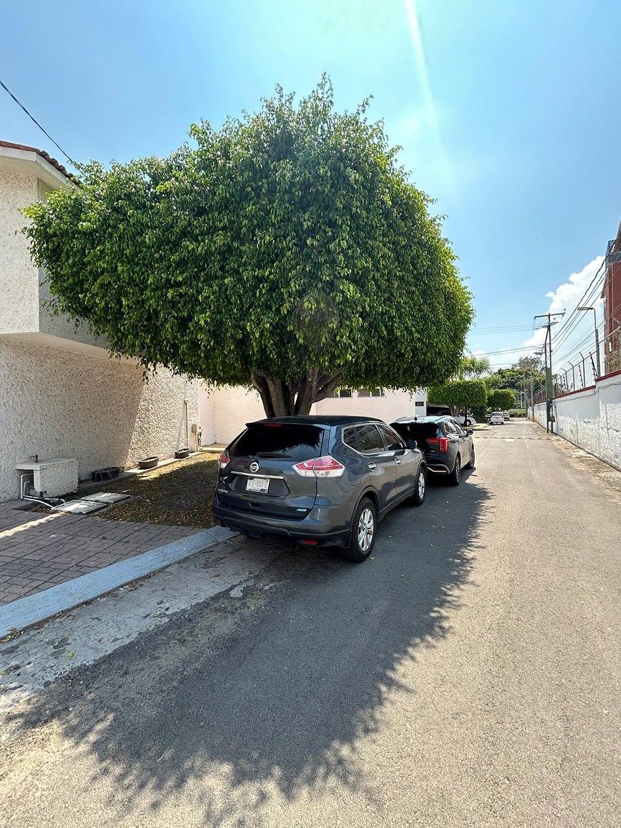 DOS ESTACIONAMIENTOS CON SOMBRA DE ARBOL, foto 34 de 35