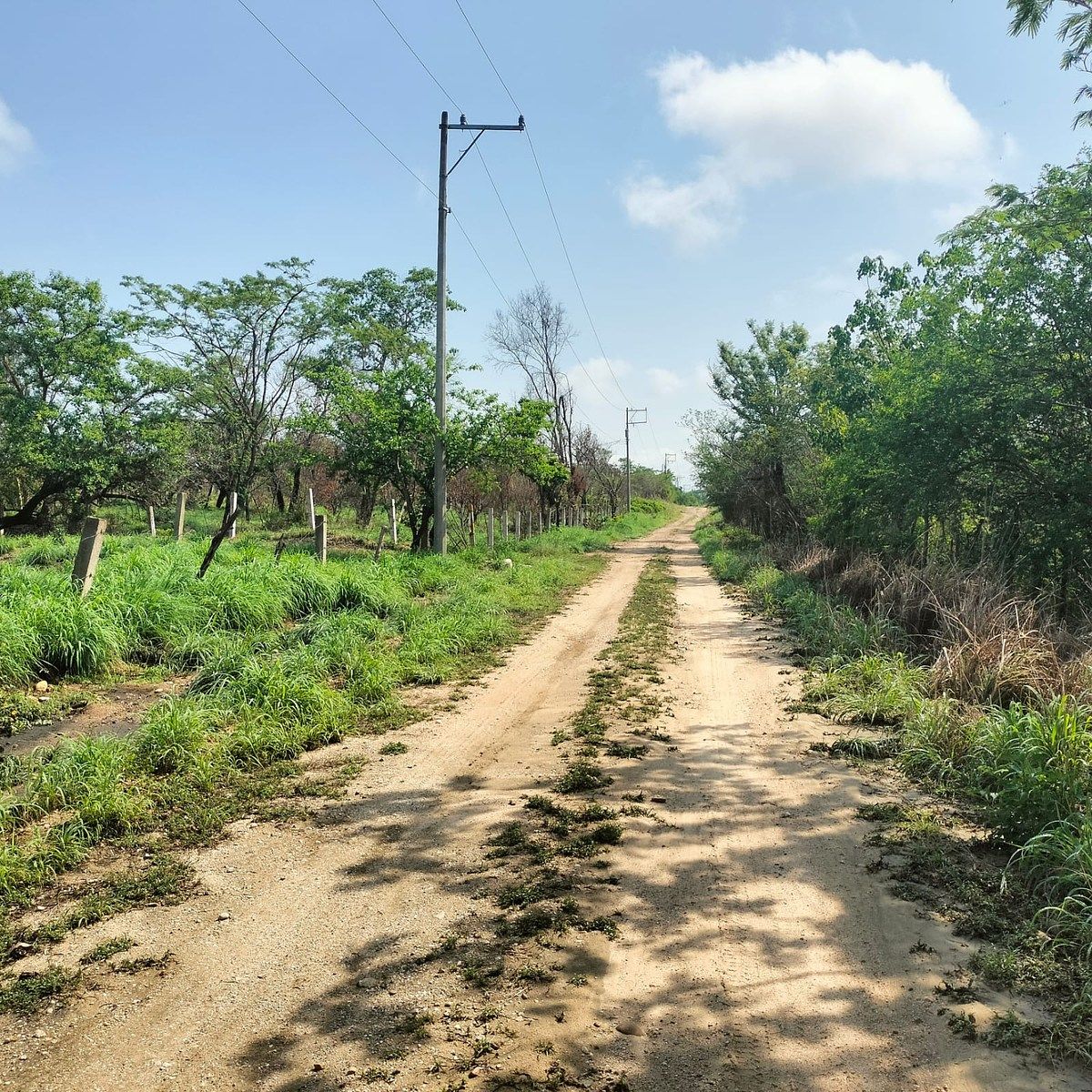 Lote em Salvador Urbina, Chiapa de Corzo, foto 9 de 14