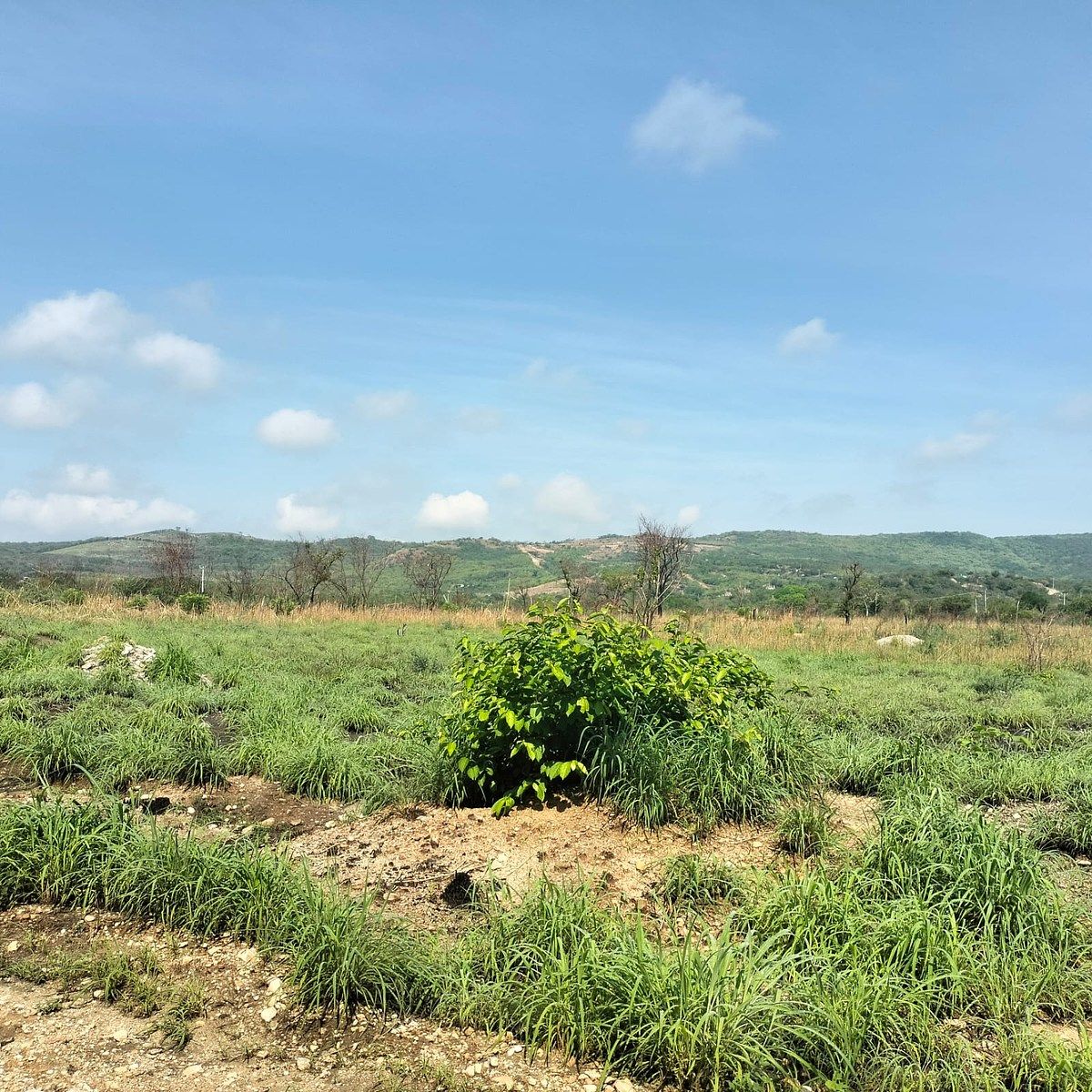 Lote em Salvador Urbina, Chiapa de Corzo, foto 10 de 14