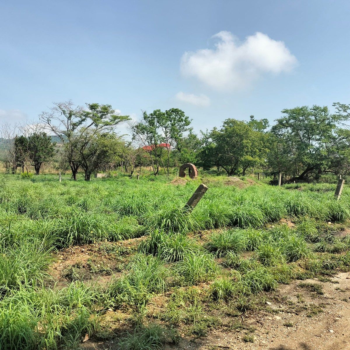 Lote em Salvador Urbina, Chiapa de Corzo, foto 12 de 14