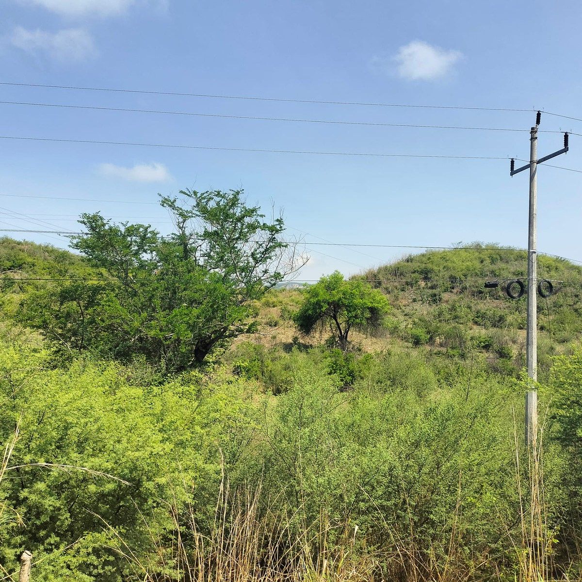 Lote em Salvador Urbina, Chiapa de Corzo, foto 8 de 14