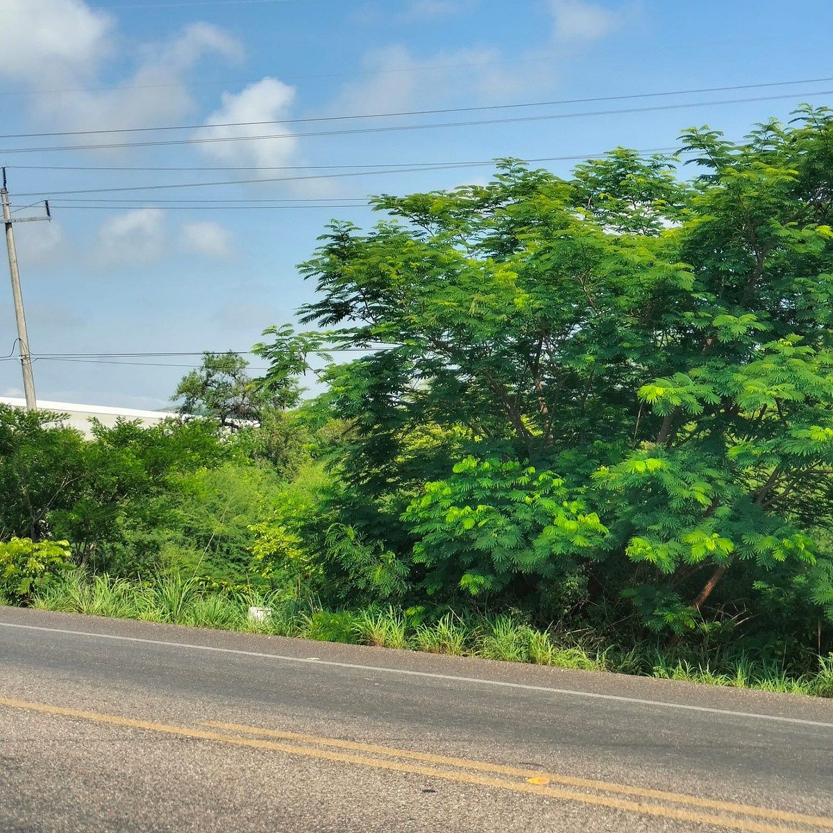 Lote em Salvador Urbina, Chiapa de Corzo, foto 13 de 14