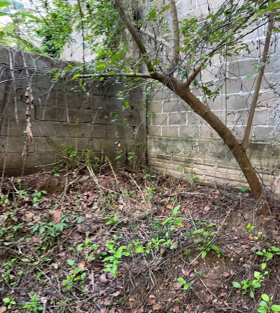 Lote em Fraccionamiento Don Ventura, San Fernando, foto 7 de 13