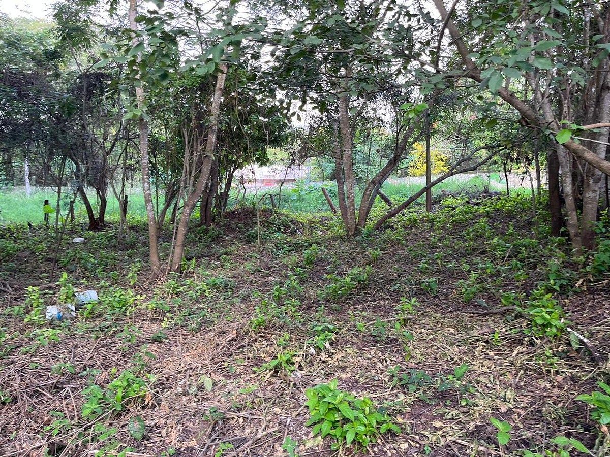 Lote em Fraccionamiento Don Ventura, San Fernando, foto 2 de 13