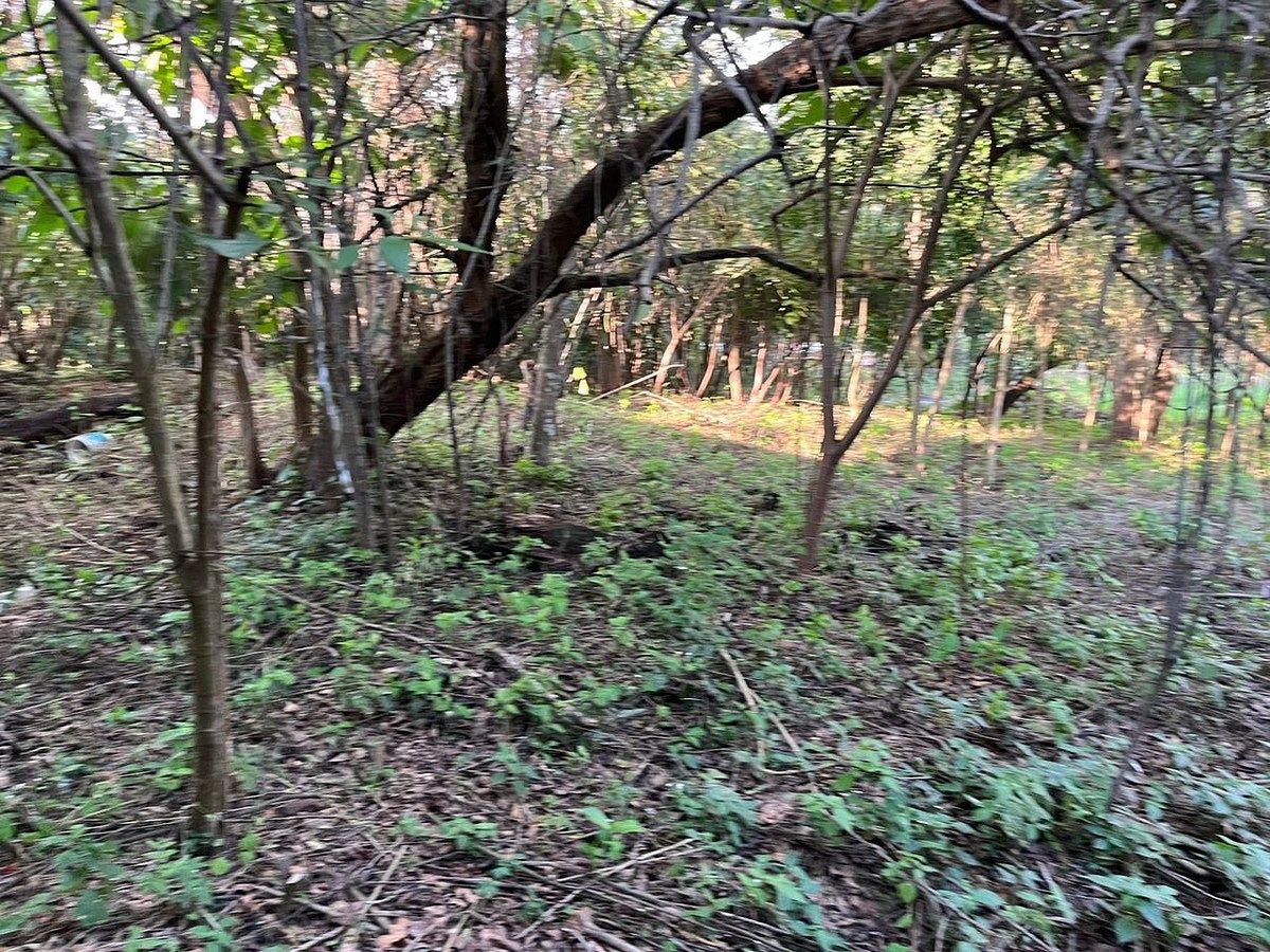 Lote em Fraccionamiento Don Ventura, San Fernando, foto 5 de 13