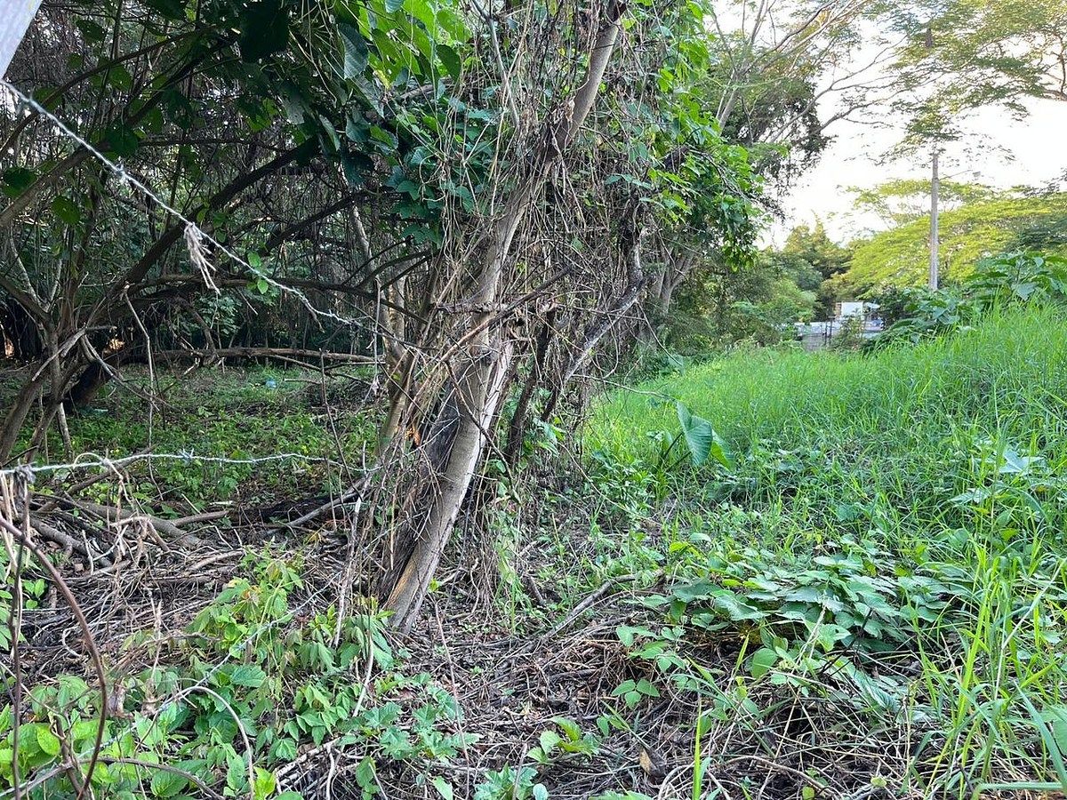 Lote em Fraccionamiento Don Ventura, San Fernando, foto 10 de 13
