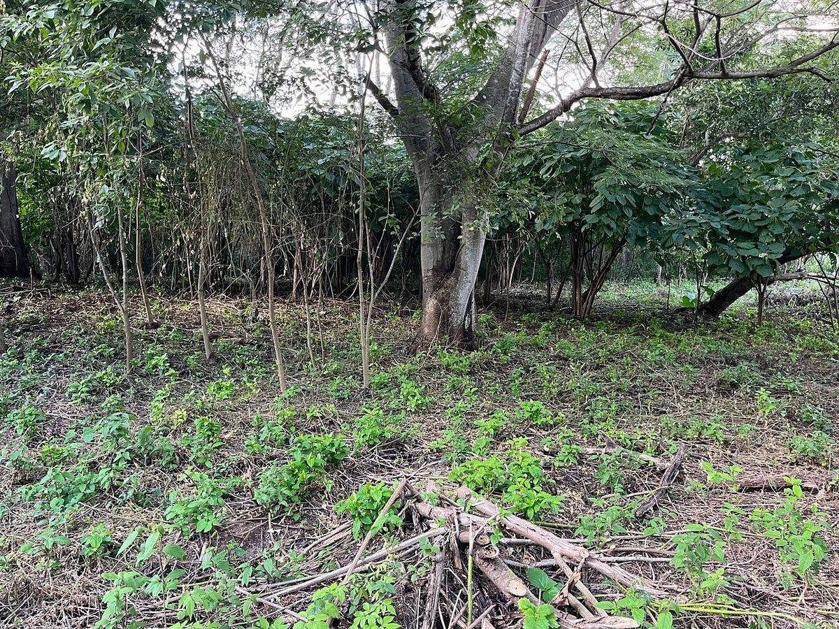 Lote em Fraccionamiento Don Ventura, San Fernando, foto 12 de 13