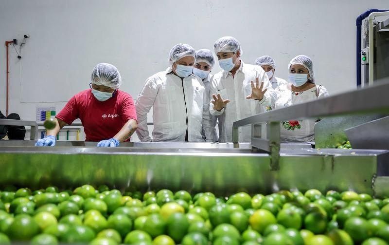 Huerta en Nohalal, Tekax, foto 3 de 7