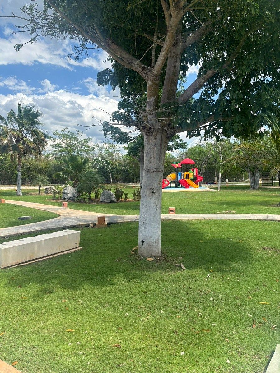 Lot in Yucatán Country Club, Mérida, photo 4 of 14