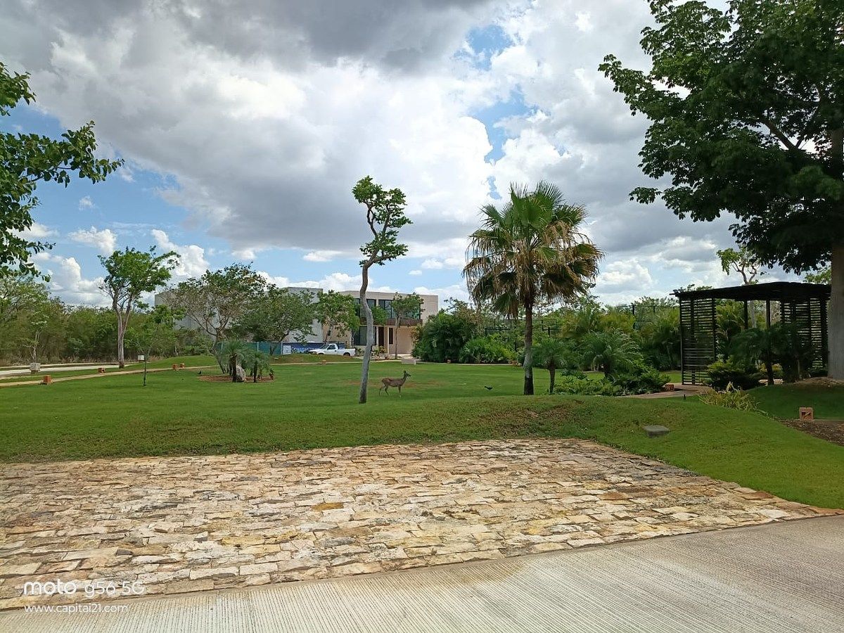 Lot in Yucatán Country Club, Mérida, photo 6 of 14