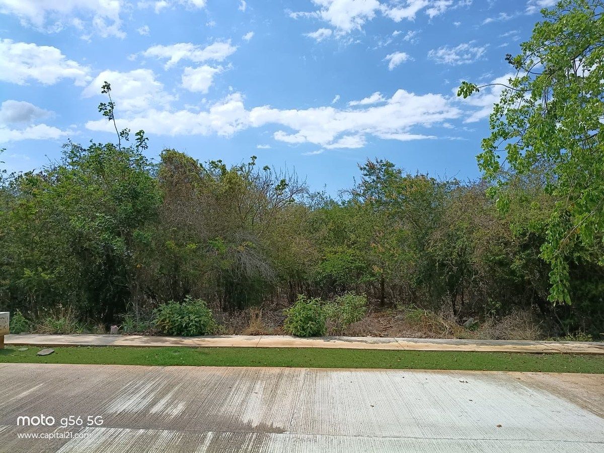 Lot in Yucatán Country Club, Mérida, photo 7 of 14