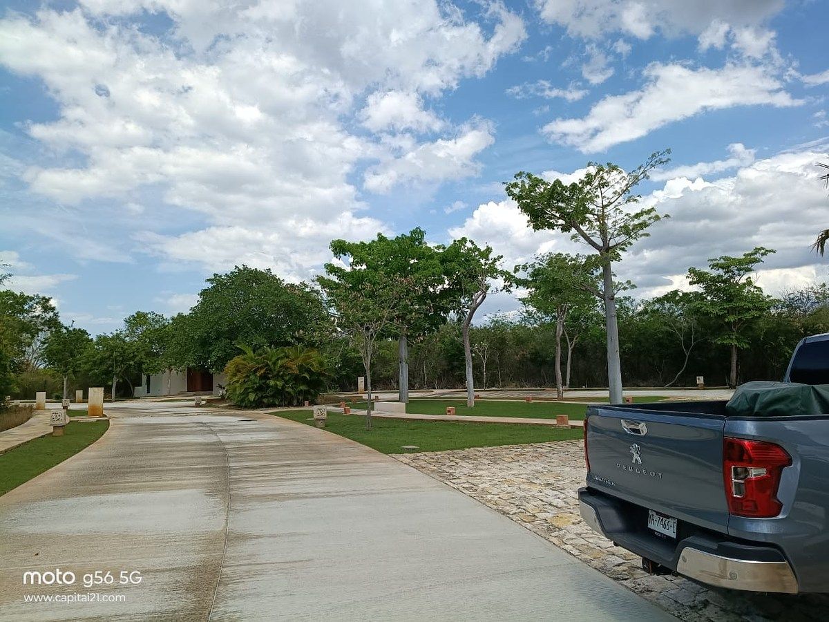 Lot in Yucatán Country Club, Mérida, photo 9 of 14