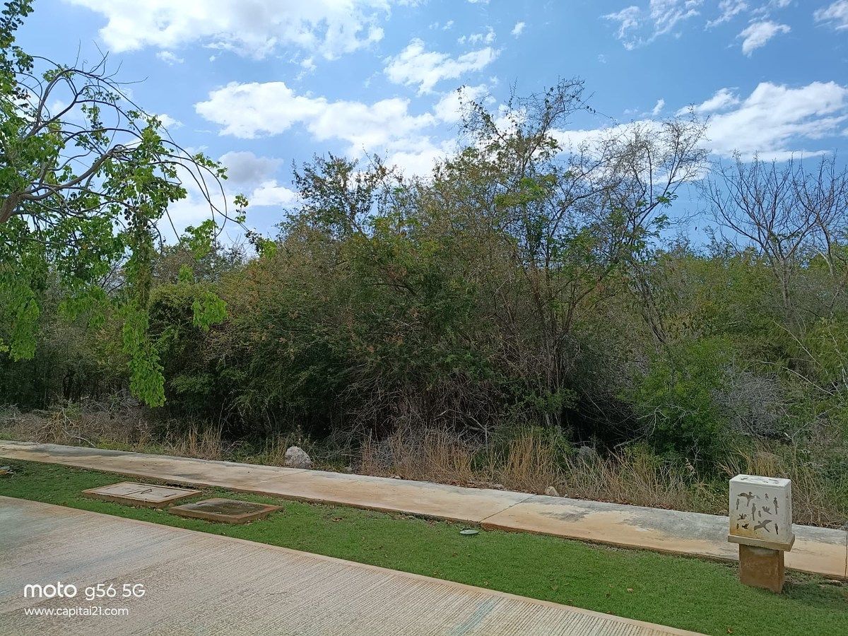 Lot in Yucatán Country Club, Mérida, photo 11 of 14
