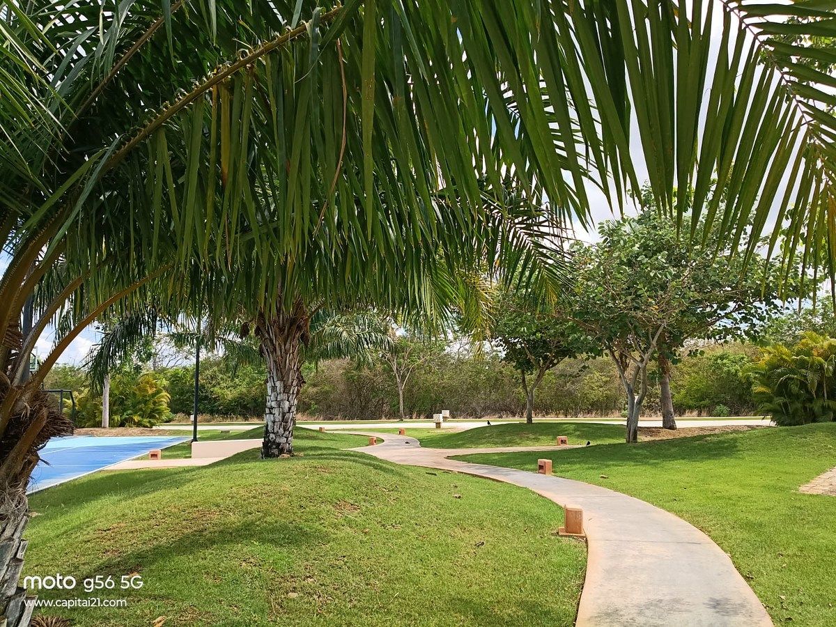 Lot in Yucatán Country Club, Mérida, photo 13 of 14