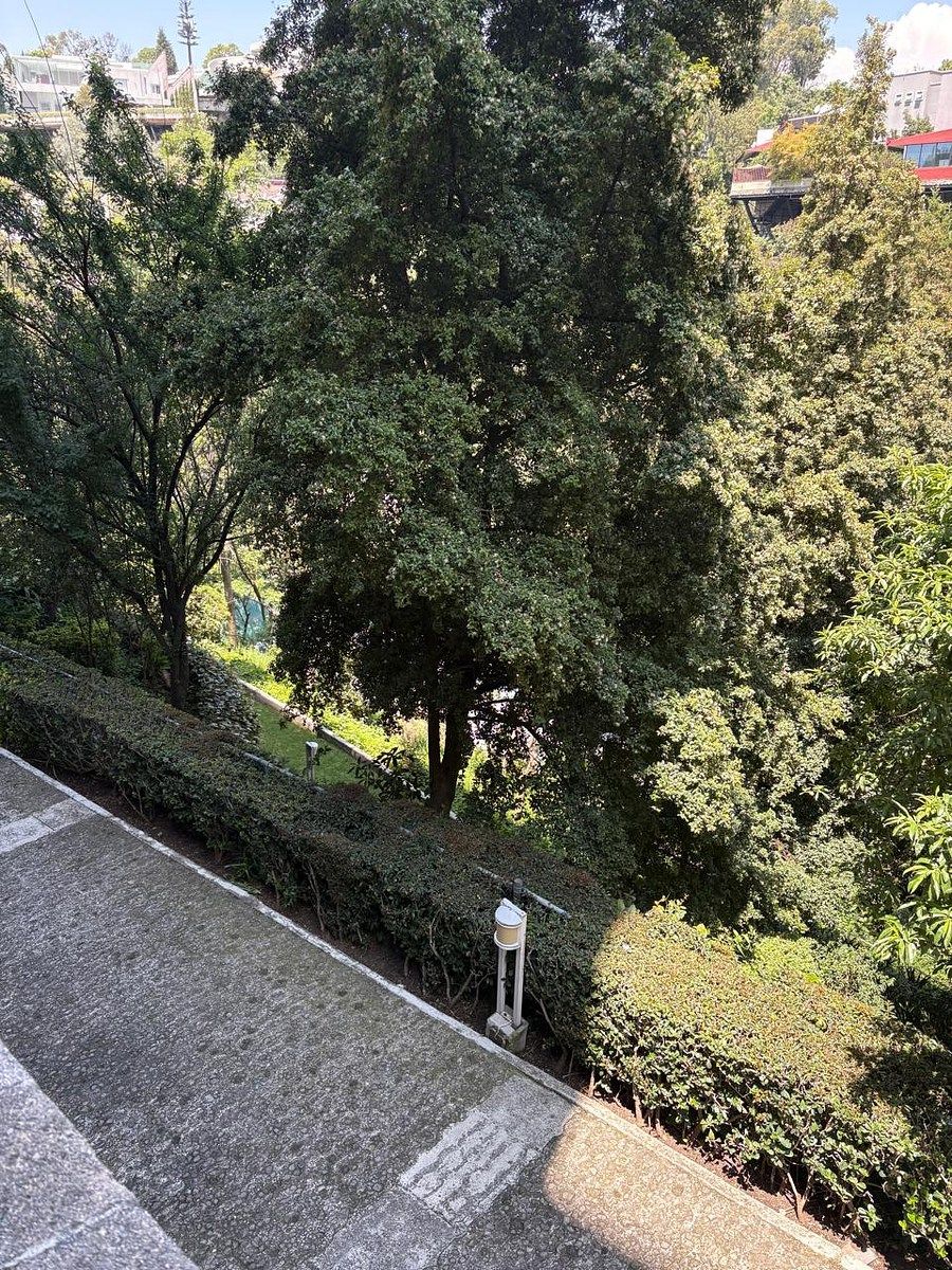 Apartment in Lomas de Chapultepec I Sección, Miguel Hidalgo, photo 24 of 34