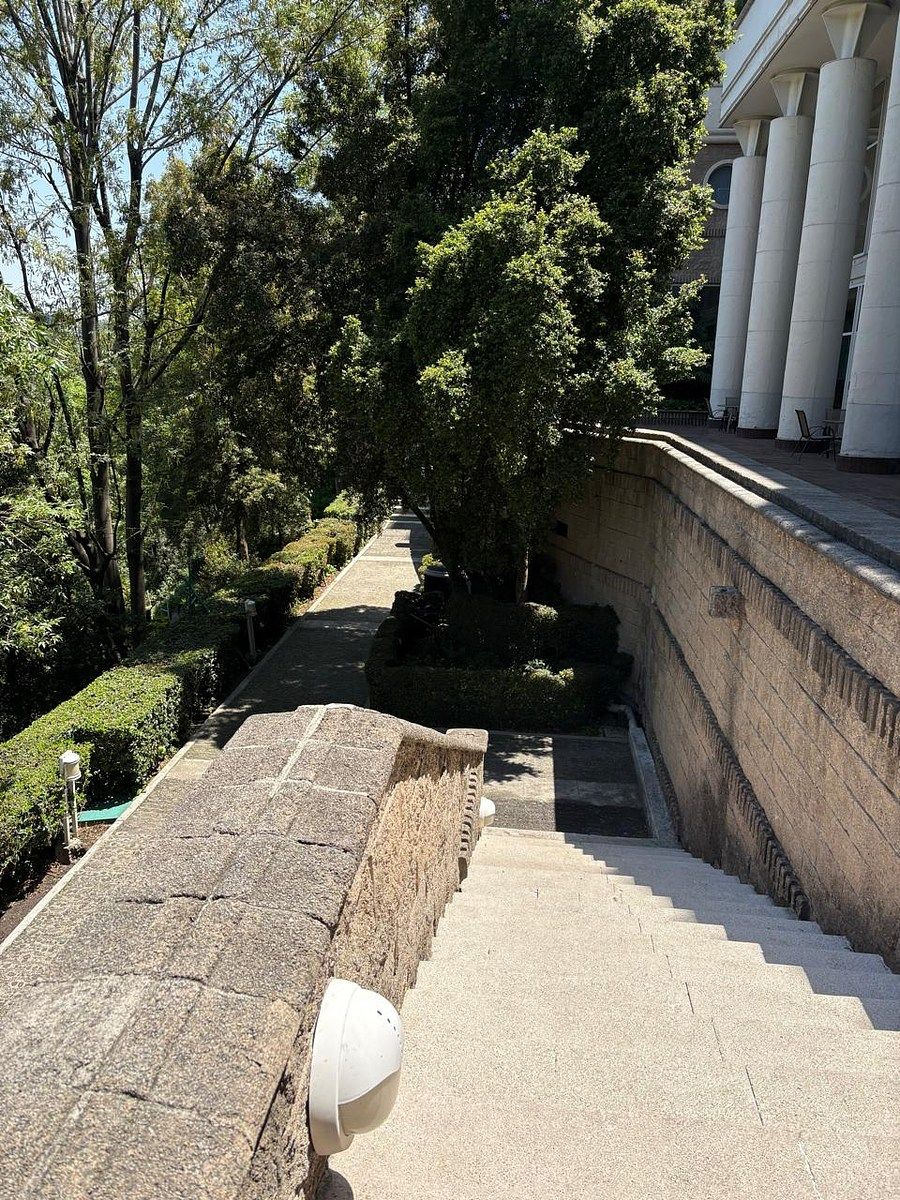 Apartment in Lomas de Chapultepec I Sección, Miguel Hidalgo, photo 25 of 34