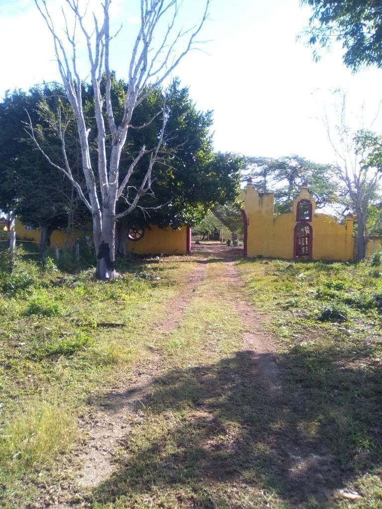 Excelente oportunidad Rancho Las Potrankas, en Tepakán, Yucatán - foto 5