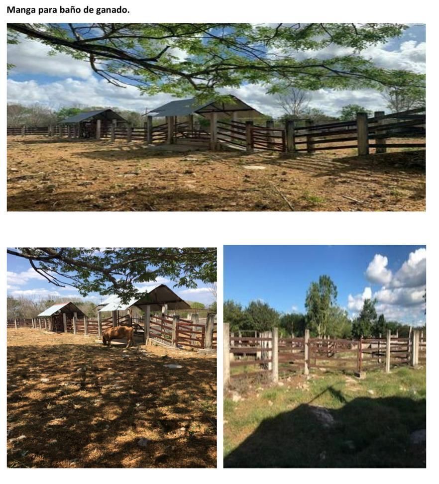 Rancho en Tepakan, Tepakán, foto 12 de 16