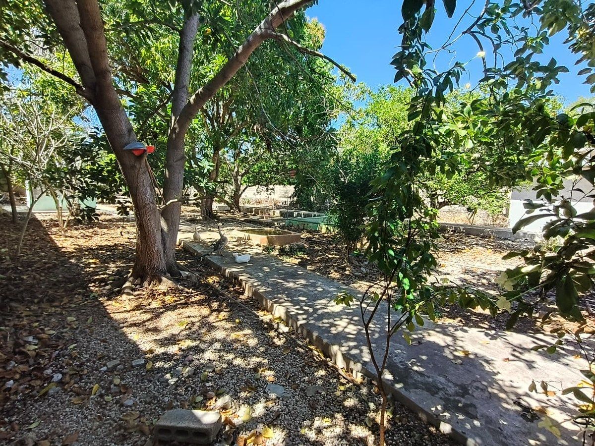 Casa en Chuburna de Hidalgo, Mérida, foto 18 de 23