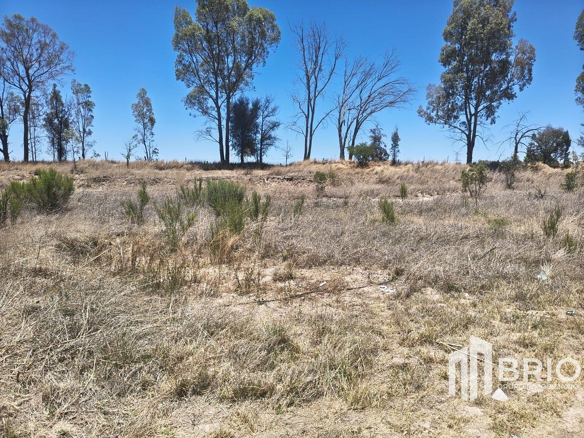 Terreno en Praxedis G Guerrero Nuevo (La Loma), Durango, foto 5 de 9