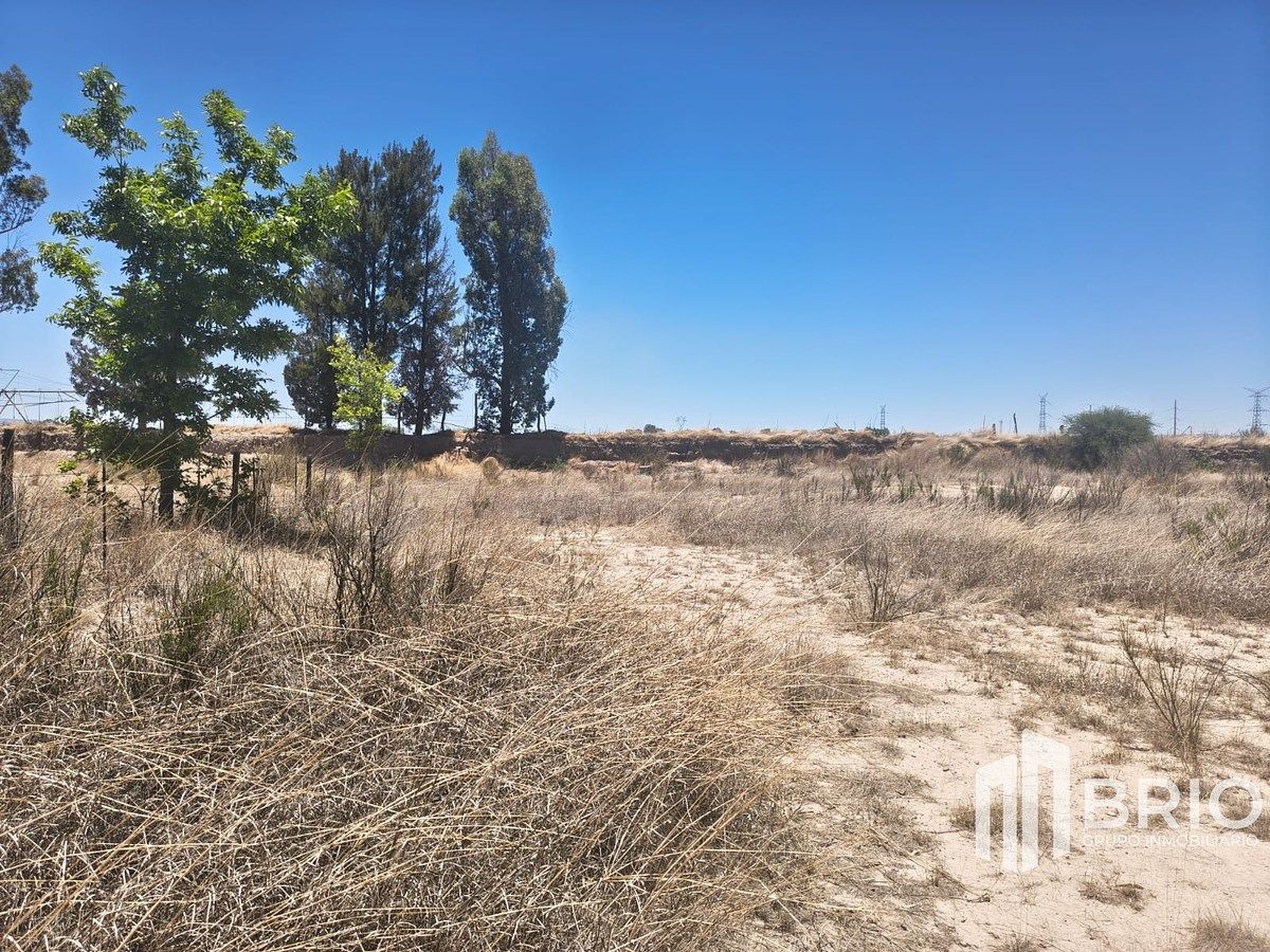 Terreno en Praxedis G Guerrero Nuevo (La Loma), Durango, foto 8 de 9