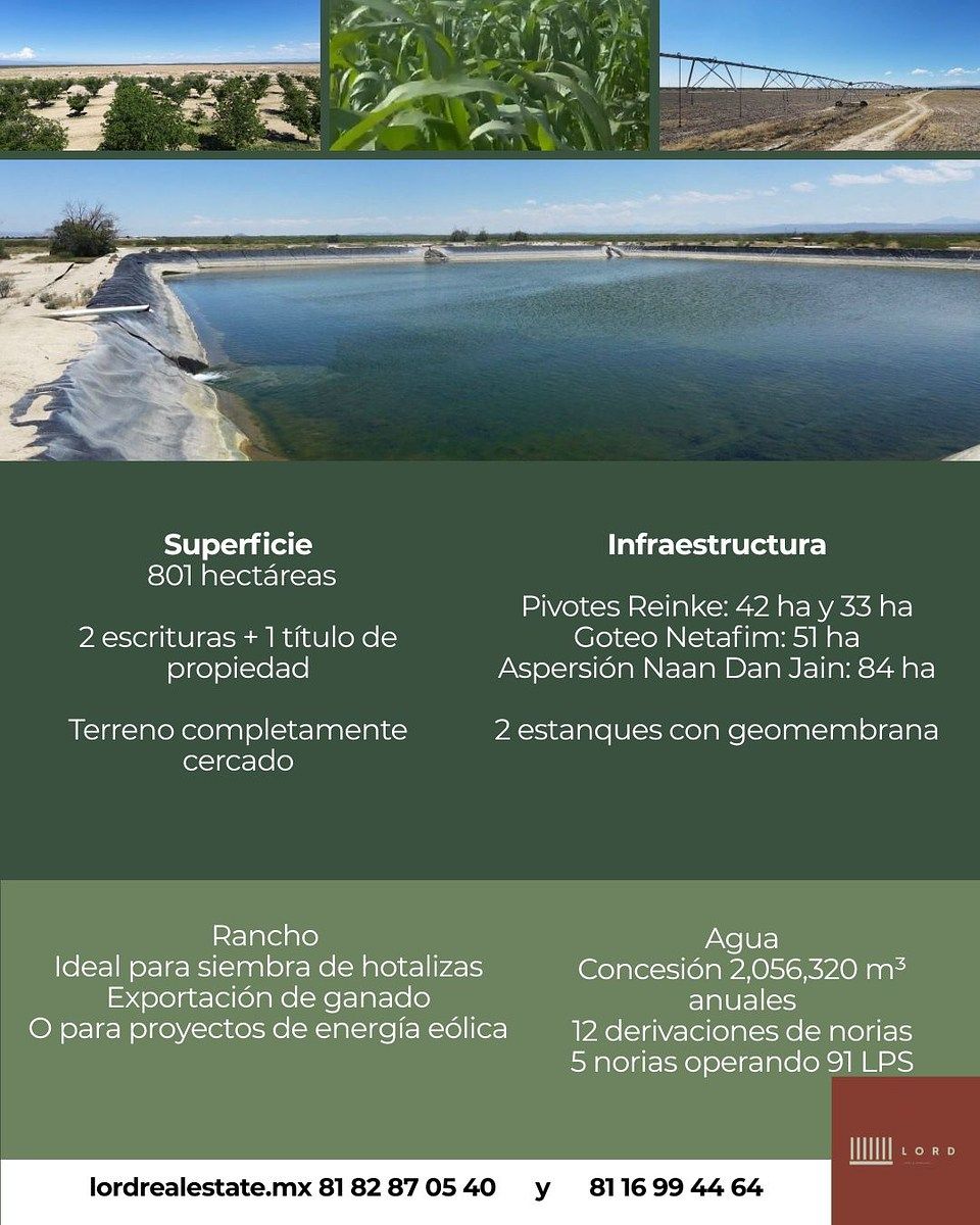 Fazenda em Parras, Parras, foto 9 de 10