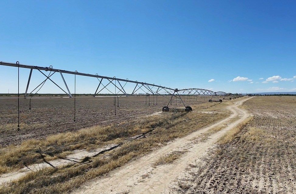 Fazenda em Parras, Parras, foto 2 de 10