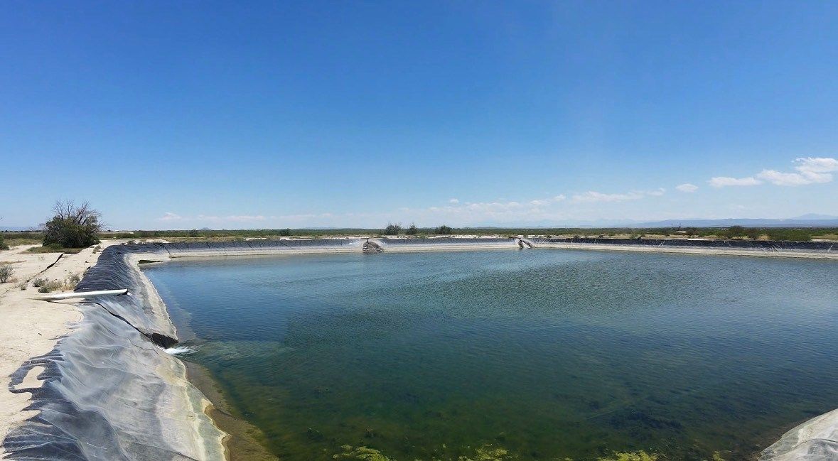 Fazenda em Parras, Parras, foto 3 de 10