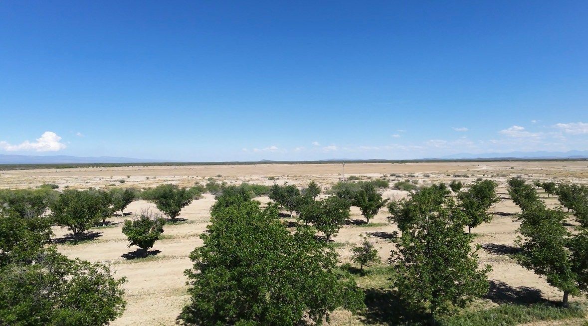 Fazenda em Parras, Parras, foto 5 de 10