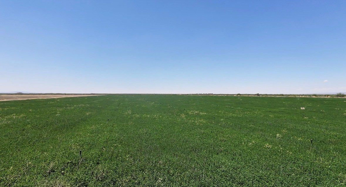 Fazenda em Parras, Parras, foto 6 de 10